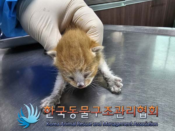 한국동물구조관리협회_411310202400169