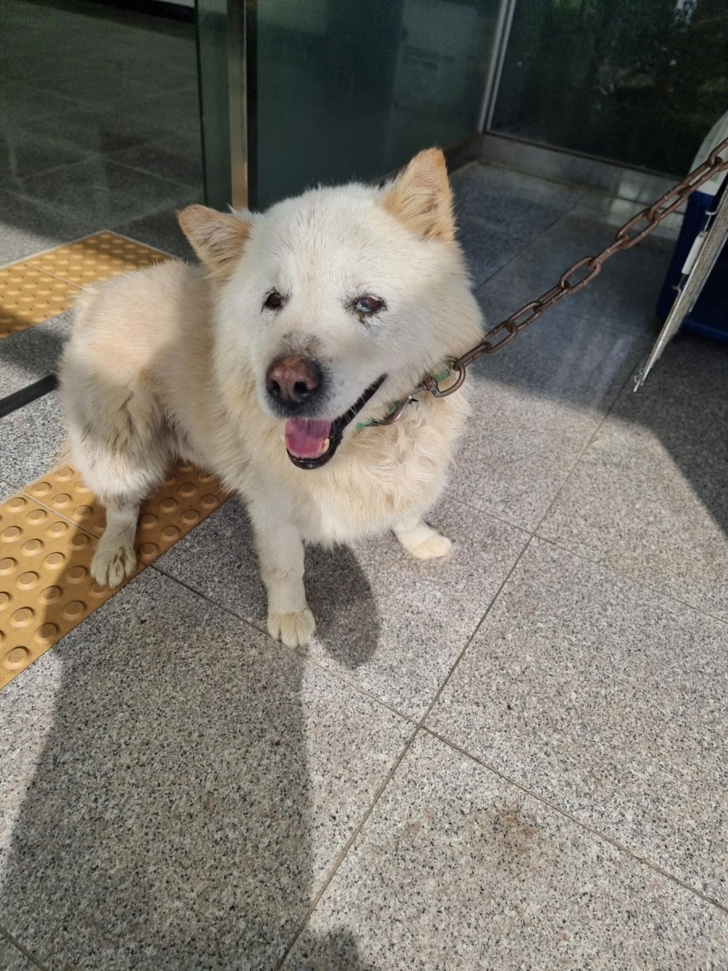 구미시 동물보호센터_447508202400633