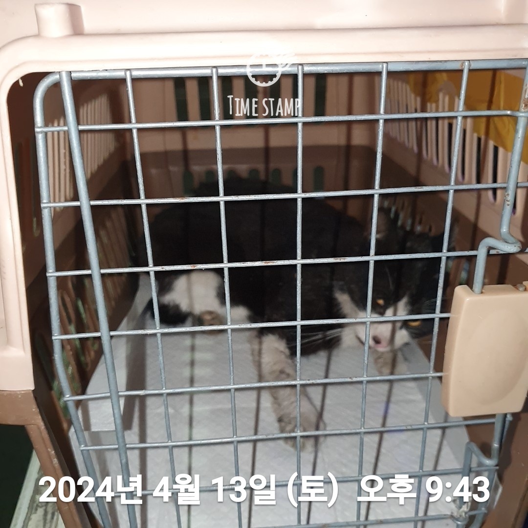 종료(자연사) 한국…