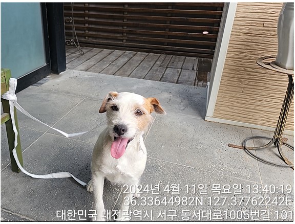 대전동물보호센터_430366202400145