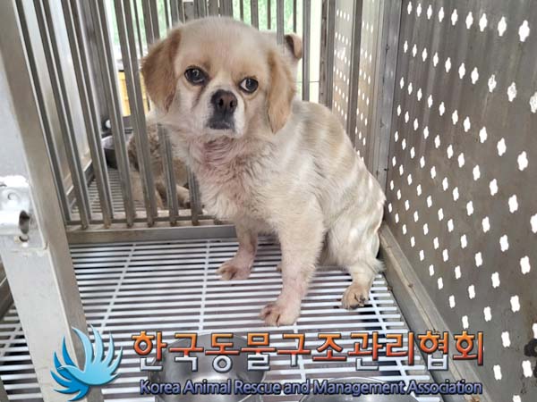 한국동물구조관리협회_441406202400601