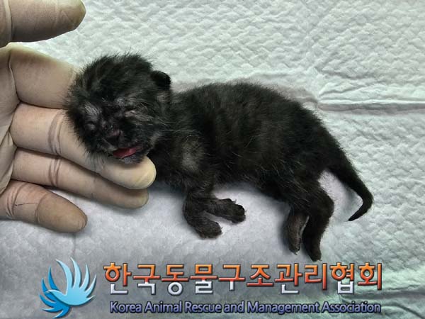 종료(자연사) 한국…