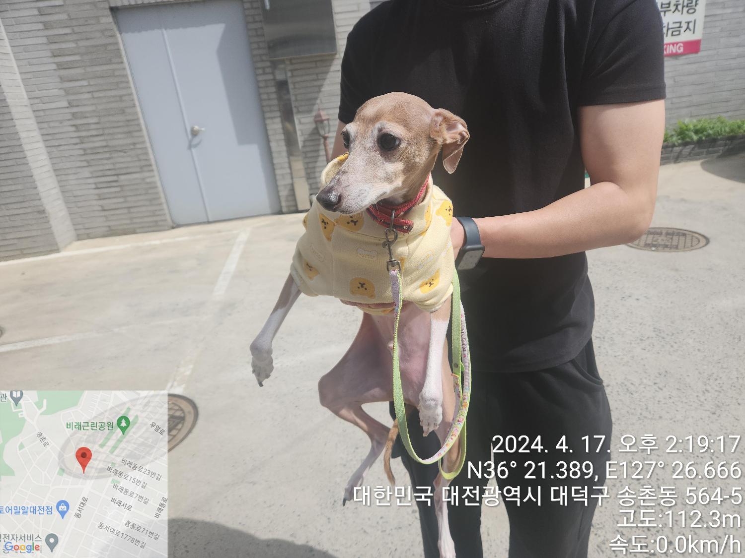 대전동물보호센터_430368202400074