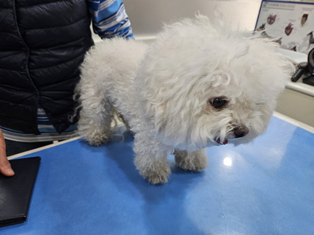 남산동물병원_411302202400237