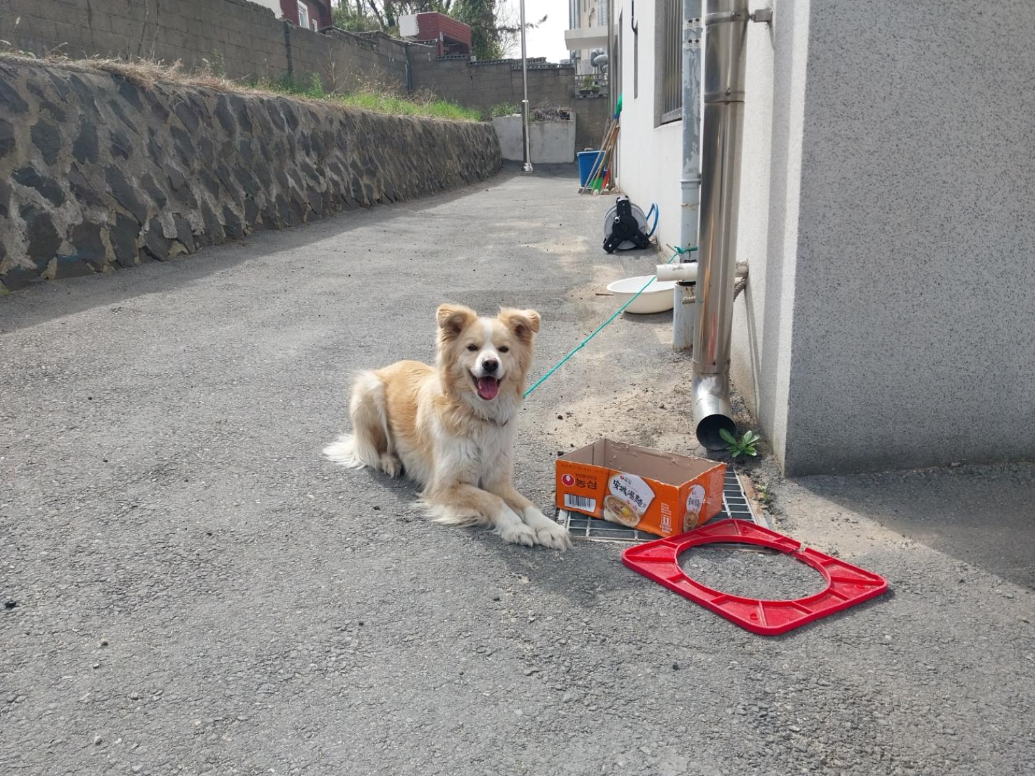 (사)영일동물플러스_447502202400292
