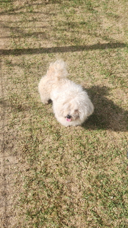 익산유기동물보호소_445468202400993