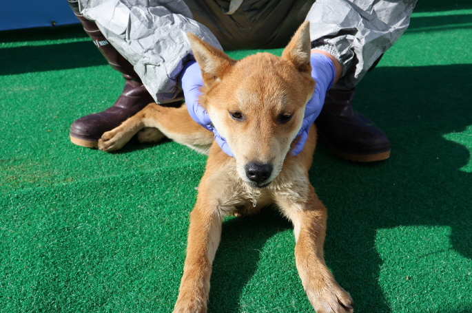 제주 동물보호센터_450650202401181