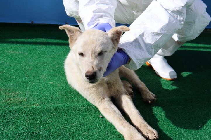 제주 동물보호센터_450650202401182