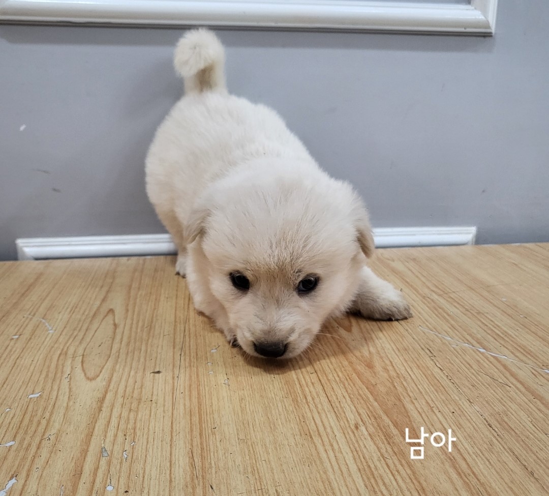 옥천동물병원_443443202400398