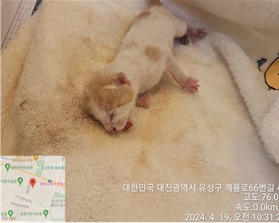 종료(자연사) 한국…