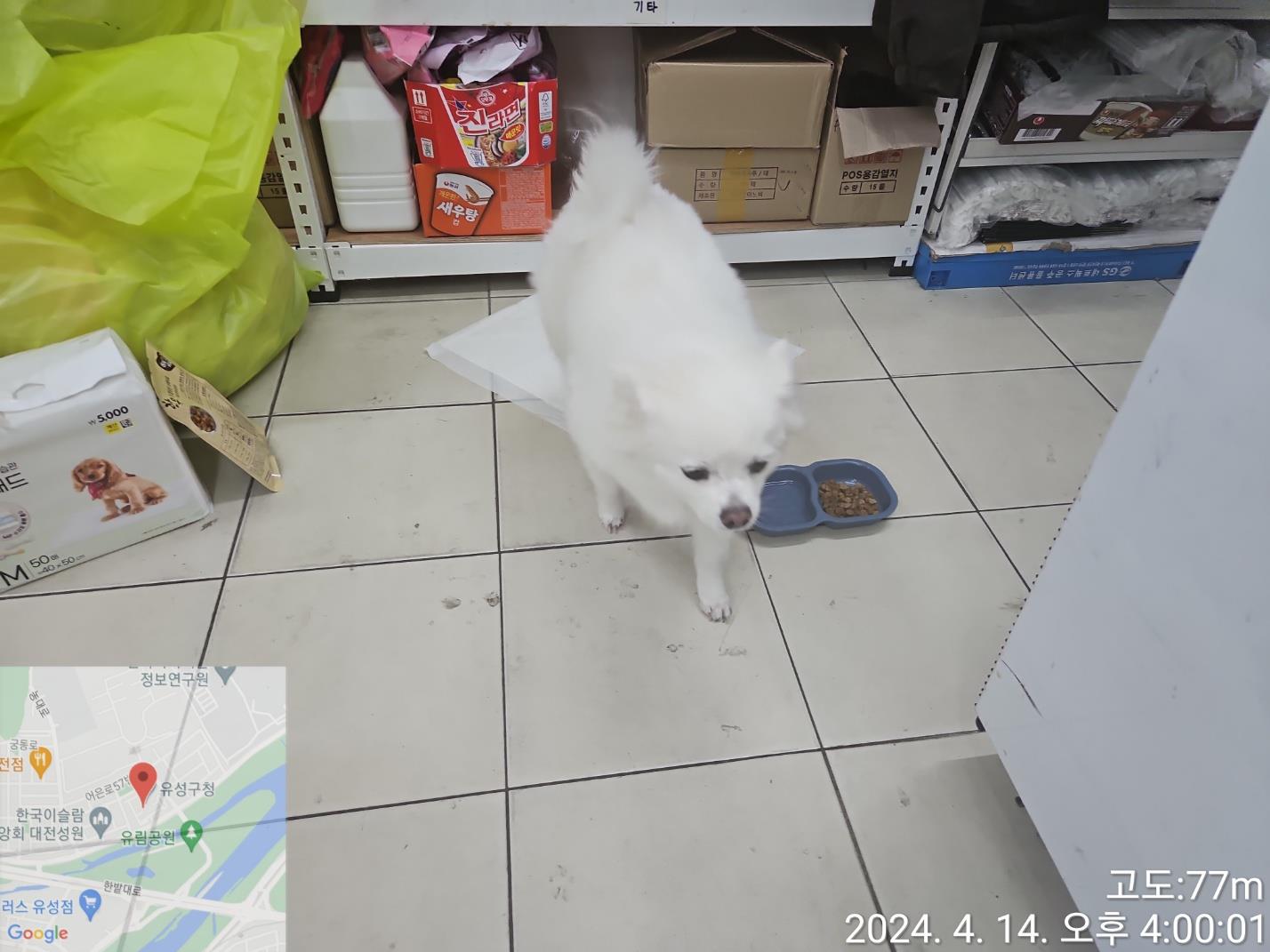 대전동물보호센터_430365202400108