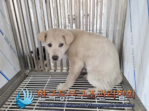 한국동물구조관리협회_441406202400637
