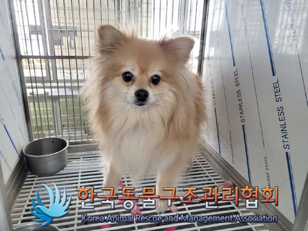 한국동물구조관리협회_411323202400485