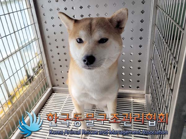 한국동물구조관리협회_411304202400169