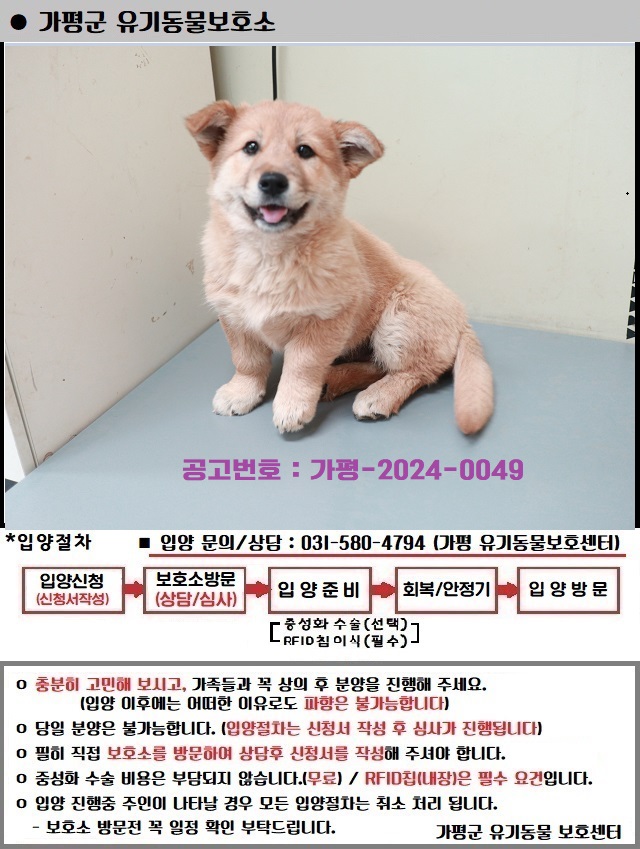 가평군유기동물보호소_441416202400049