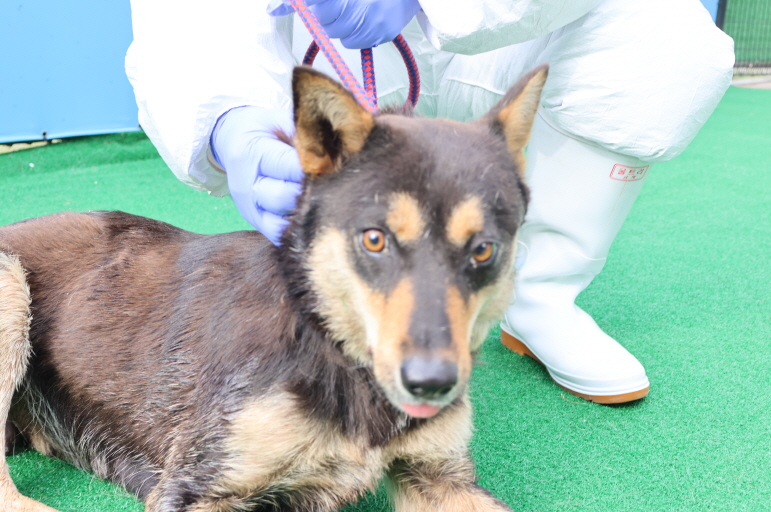 제주 동물보호센터_450650202401195