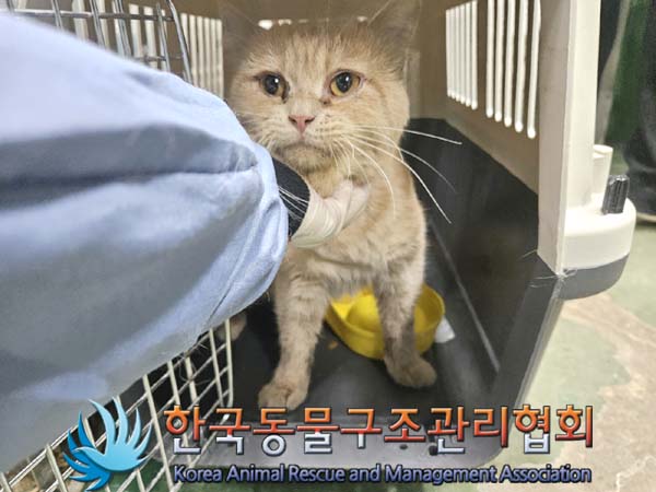 한국동물구조관리협회_411303202400155