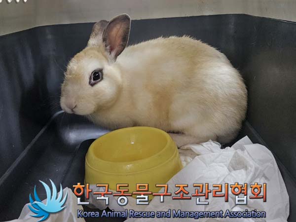 한국동물구조관리협회_411305202400223