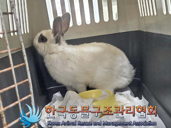 한국동물구조관리협회_411305202400222