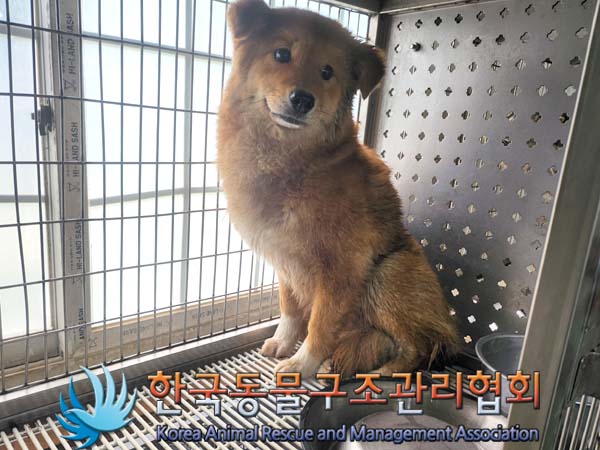 한국동물구조관리협회_411311202400269
