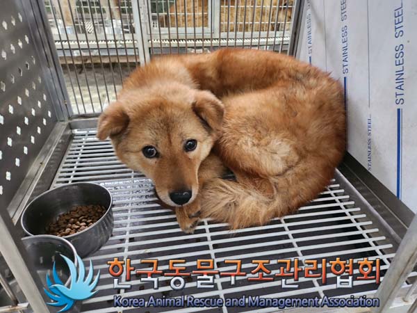 한국동물구조관리협회_411311202400270