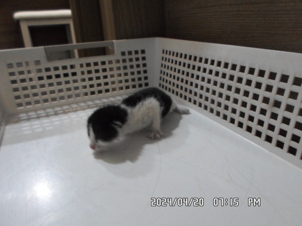 종료(자연사) 한국…