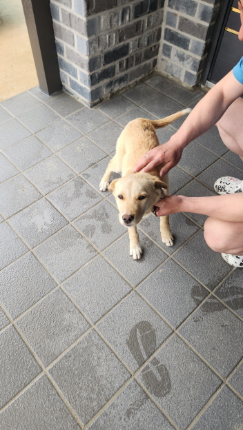 익산유기동물보호소_445468202401010
