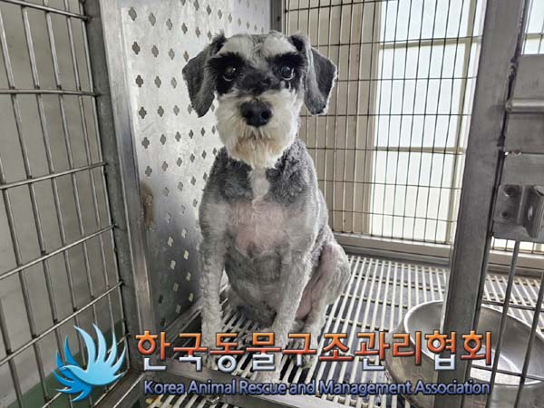한국동물구조관리협회_411306202400313
