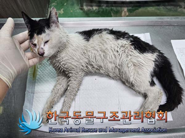 종료(자연사) 한국…