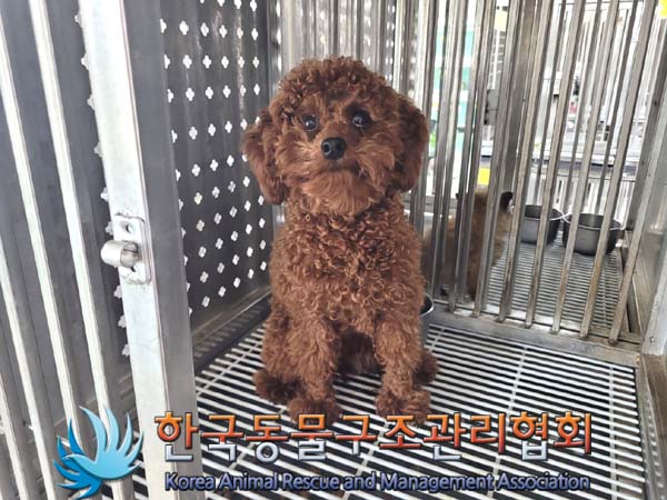 한국동물구조관리협회_441398202400142