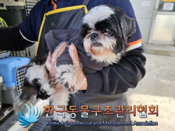 종료(반환) 시츄의…