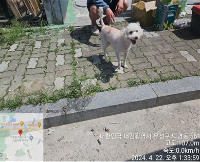 대전동물보호센터_430367202400276