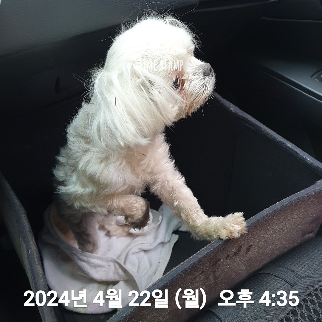 울산유기동물보호센터_431369202400191