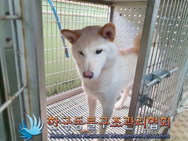 한국동물구조관리협회_411306202400314