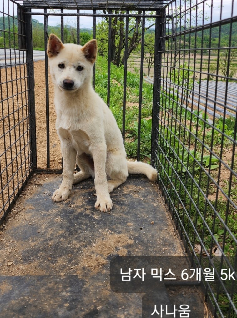 옥천동물병원_443443202400416