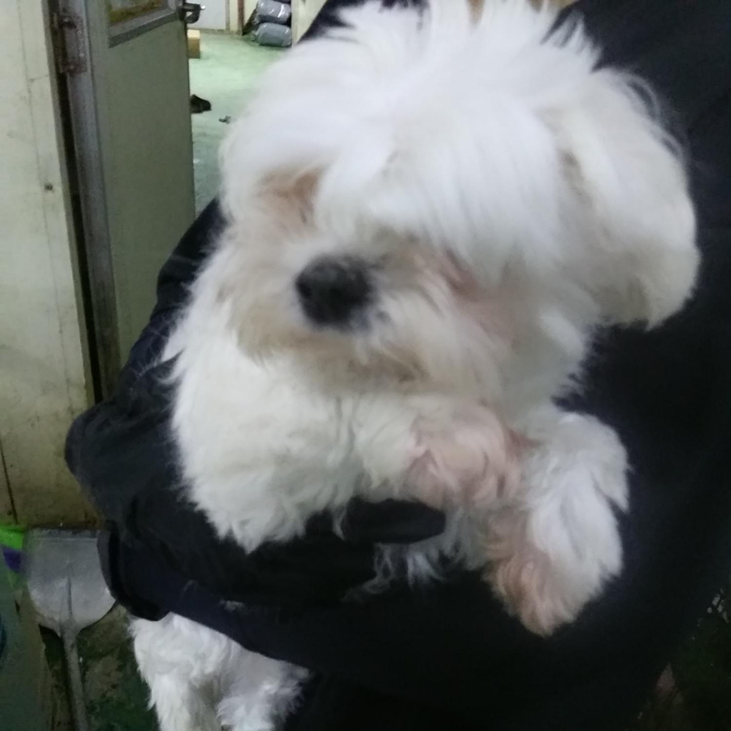 인천광역시수의사회_428351202400266
