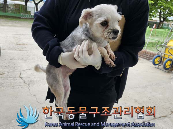 한국동물구조관리협회_411318202400125