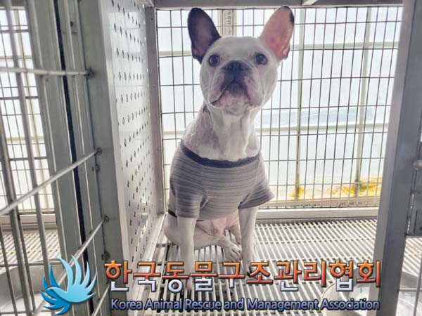 종료(반환) 프렌치…