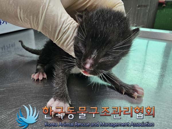 한국동물구조관리협회_411309202400076
