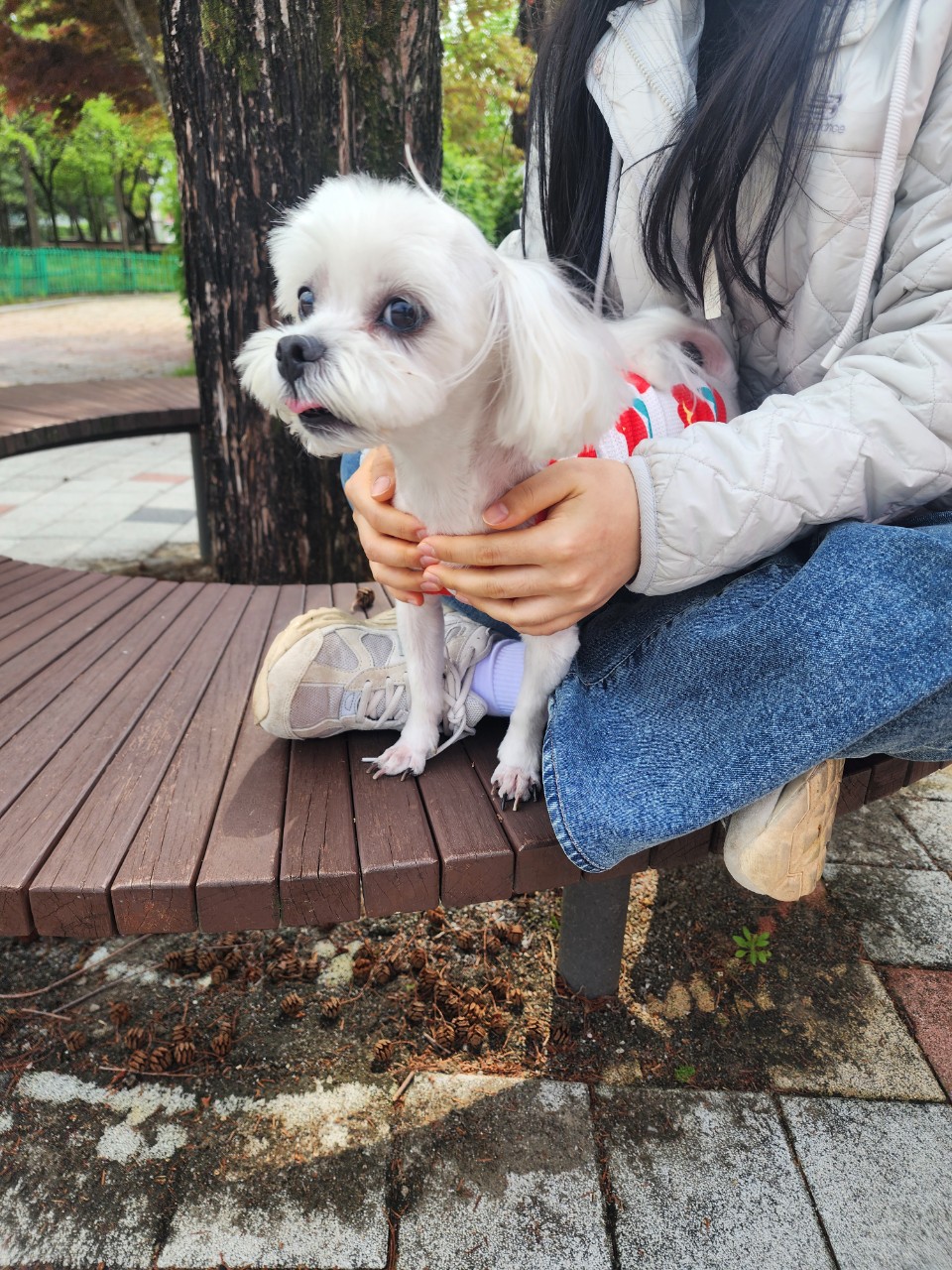 아산동물복지지원센터_444452202401353