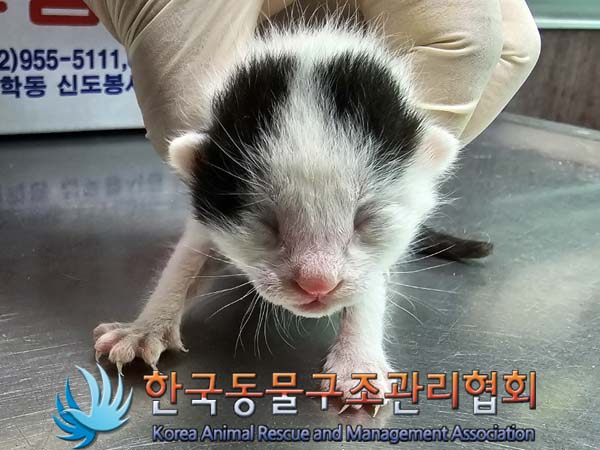 종료(자연사) 한국…
