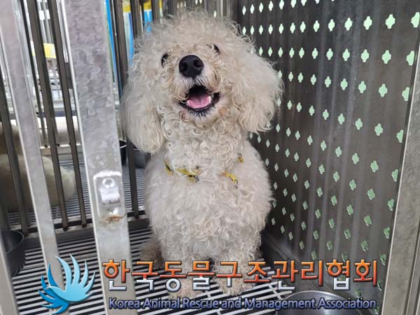 한국동물구조관리협회_441382202400351