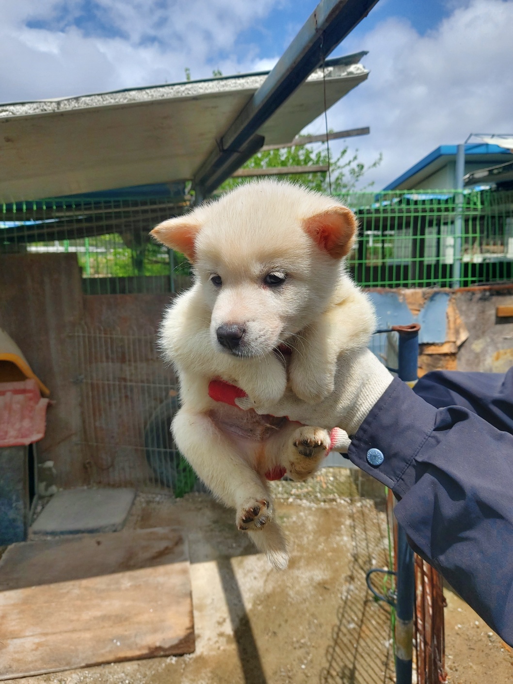 전북말산업복합센터_445471202400213
