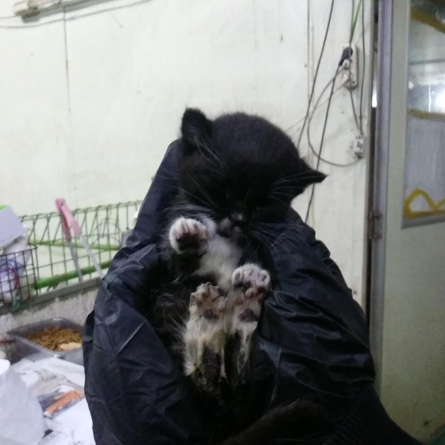 종료(자연사) 한국…
