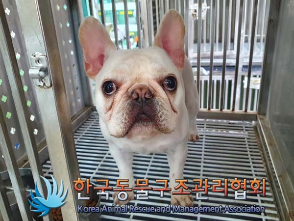 종료(반환) 프렌치…