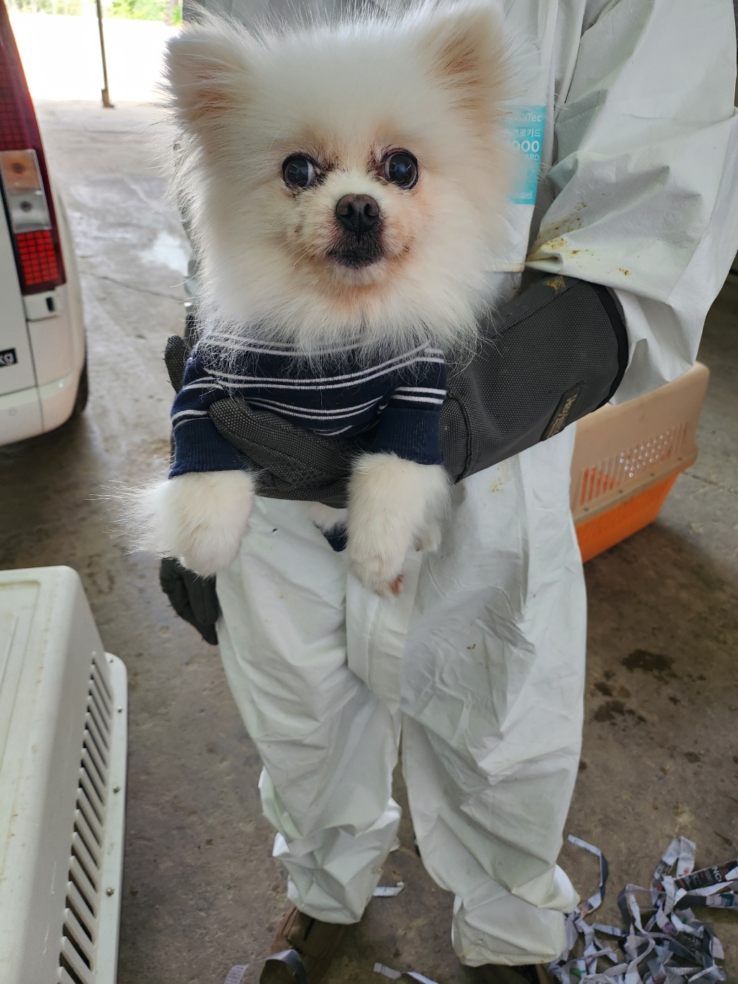 평택시유기동물보호소_441391202400882