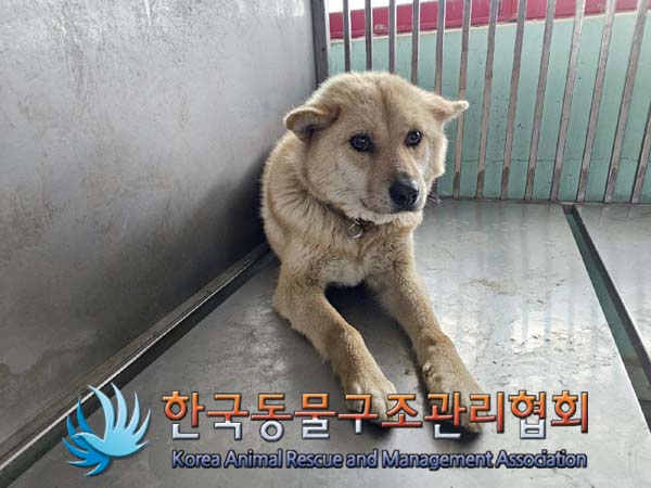 종료(안락사) 믹스…
