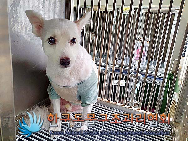 한국동물구조관리협회_411315202400214