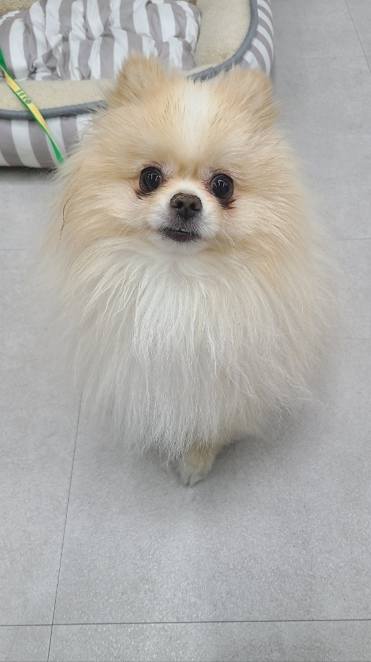 거제시유기동물보호소_448537202400691
