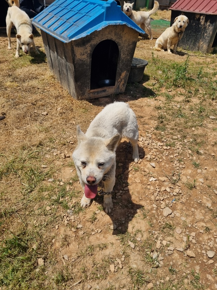 전북말산업복합센터_445471202400221